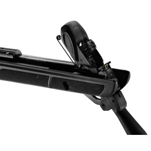 Carabine Gamo Roadster IGT 10x Gen2 19.9 Joules