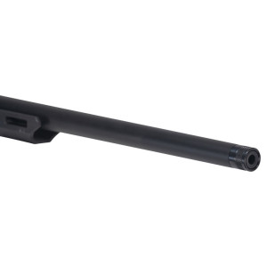 Carabine SAVAGE AXIS II PRECISION