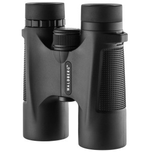 Jumelles Waldberg 8 x 42