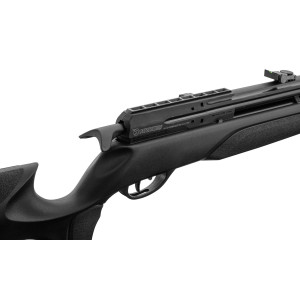 Carabine PCP GAMO Arrow 4.5mm 19.9J