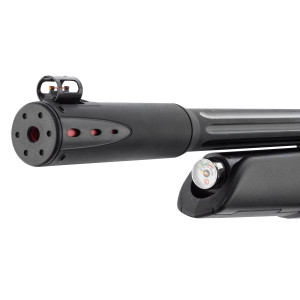 Carabine PCP GAMO Arrow 4.5mm 19.9J