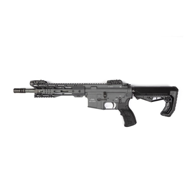 CARABINE STG15CP ALPEN ARMS 10.5'' CALIBRE 223 REM, 10 COUPS - SNIPER GREY