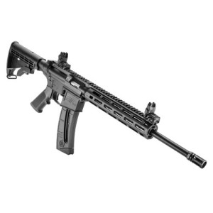 CARABINE S&W M&P 15 22SORT CALIBRE 22LR