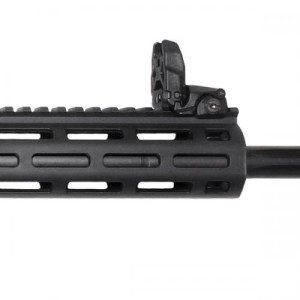 CARABINE S&W M&P15 22 PERFORMANCE CENTER CALIBRE 22LR