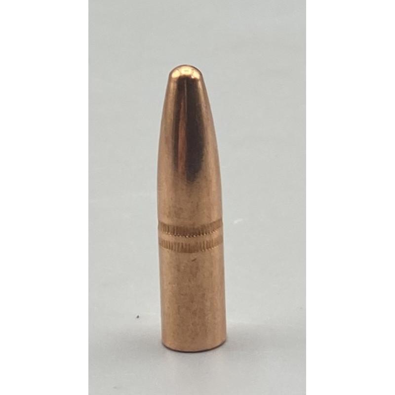 CAM PRO 308 SP 220 grains diamètre .308 par 500