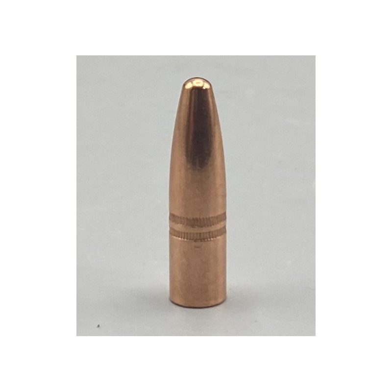 CAM PRO 308 SP 200 grains diamètre .308 par 500