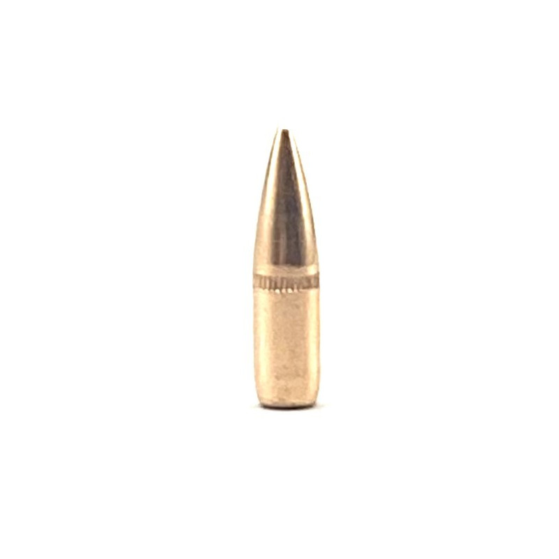 CAM PRO 223 BT FMJ 62 grains diamètre 224 par 500