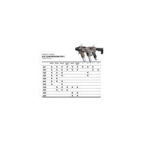 KIT CONVERSION RECOVER PIX+ POUR GLOCK - NOIR
