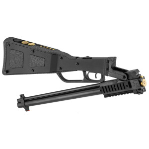 Carabine Chiappa pliante calibre 20/22Lr M6