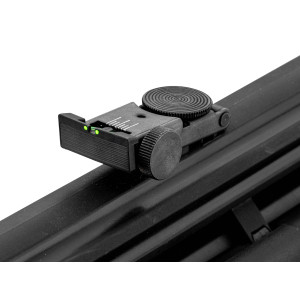 Carabine PCP GAMO Arrow 4.5mm 19.9J