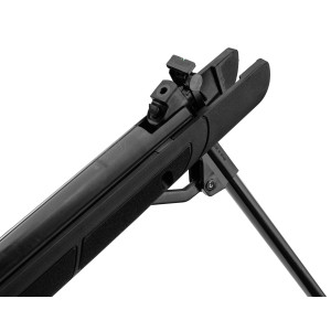 Pack carabine Gamo G-Magnum 1250 IGT + lunette 3-9x40 5,5 mm (45 J) Cat C