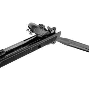 Gamo Roadster IGT 10x Gen2 Roadster IGT 10x 5.5 mm