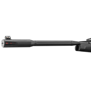 Carabine Gamo Black Fusion IGT 29 Joules + 4X32 WR Cat C