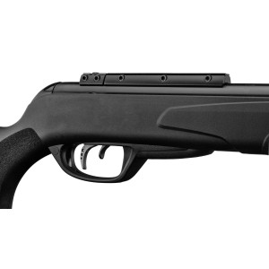 Carabine Gamo Black Fusion IGT 29 Joules + 4X32 WR Cat C