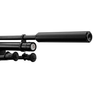 Pack carabine Gamo HPA PCP + 6-24x50 + silencieux + bipied Cat C