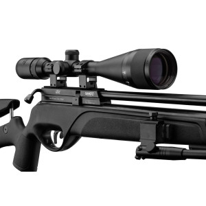 Pack carabine Gamo HPA PCP + 6-24x50 + silencieux + bipied Cat C
