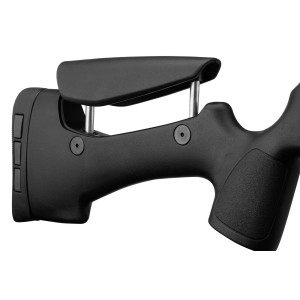 Pack carabine Gamo HPA PCP + 6-24x50 + silencieux + bipied Cat C