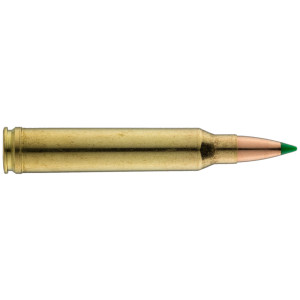 Sologne .300 Win. Mag. Nosler Ballistic Tip 150 gr / 9,7 g Sologne .300 Win Mag Ballistic Tip 150 gr / 9.7 g