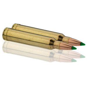 Sologne .300 Win. Mag. Nosler Ballistic Tip 150 gr / 9,7 g Sologne .300 Win Mag Ballistic Tip 150 gr / 9.7 g