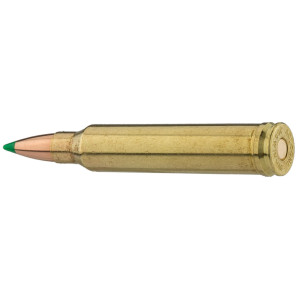 Sologne .300 Win. Mag. Nosler Ballistic Tip 150 gr / 9,7 g Sologne .300 Win Mag Ballistic Tip 150 gr / 9.7 g