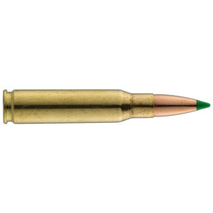 Sologne .308 Win Nosler Ballistic Tip 180 gr / 12 g Sologne .308 Win Ballistic Tip 180 gr / 12 g