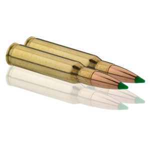 Sologne .308 Win Nosler Ballistic Tip 180 gr / 12 g Sologne .308 Win Ballistic Tip 180 gr / 12 g