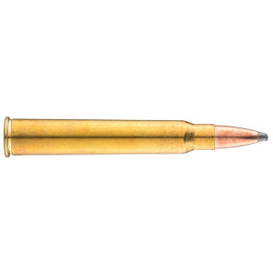 Sologne 30 R Blaser Nosler Partition 180 gr / 11,7 g .30 R Blaser Nosler Partition 180 gr /11.7 g