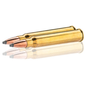 Sologne 30 R Blaser Nosler Partition 180 gr / 11,7 g .30 R Blaser Nosler Partition 180 gr /11.7 g