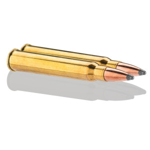 Sologne 30 R Blaser Nosler Partition 180 gr / 11,7 g .30 R Blaser Nosler Partition 180 gr /11.7 g