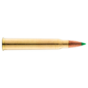 Sologne 30 R Blaser Nosler Ballistic Tip 180 gr / 11,7 g .30 R Blaser Balistic Tip 180 gr / 11.7 g