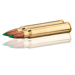 Sologne 30 R Blaser Nosler Ballistic Tip 180 gr / 11,7 g .30 R Blaser Balistic Tip 180 gr / 11.7 g