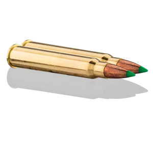 Sologne 30 R Blaser Nosler Ballistic Tip 180 gr / 11,7 g .30 R Blaser Balistic Tip 180 gr / 11.7 g