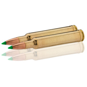 Sologne .300 Weatherby Magnum Nosler Ballistic Tip 180 gr / 12 g .300 Weatherby Mag Ballistic Tip 180 gr / 12 g
