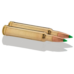 Sologne .300 Weatherby Magnum Nosler Ballistic Tip 180 gr / 12 g .300 Weatherby Mag Ballistic Tip 180 gr / 12 g
