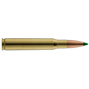 Sologne .30-06 Spring. Ballistic Tip 180 gr / 11,7 g Sologne .30-06 Sprg Ballistic Tip 180 gr / 11.7 g