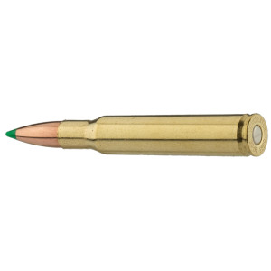 Sologne .30-06 Spring. Ballistic Tip 180 gr / 11,7 g Sologne .30-06 Sprg Ballistic Tip 180 gr / 11.7 g