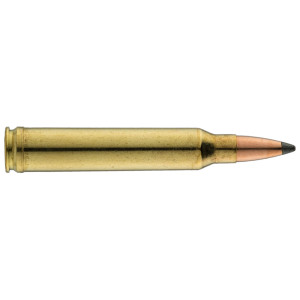 Sologne .300 Win. Mag. Nosler Partition .300 Win Mag Partition 220 gr  / 14.3 g
