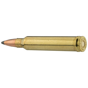 Sologne .300 Win. Mag. Nosler Partition .300 Win Mag Partition 220 gr  / 14.3 g