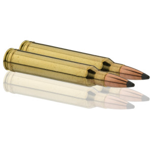 Sologne .300 Win. Mag. Nosler Partition .300 Win Mag Partition 180 gr / 11.7 g