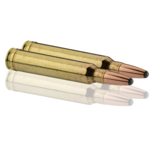 Sologne .300 Win. Mag. Nosler Partition .300 Win Mag Partition 180 gr / 11.7 g