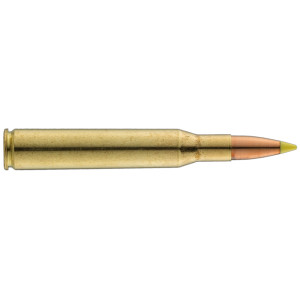 Sologne .270 Win Nosler Ballistic Tip 130 gr / 8,4 g .270 Win Ballistic Tip 130 gr / 8.4 g