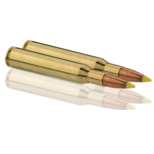 Sologne .270 Win Nosler Ballistic Tip 130 gr / 8,4 g .270 Win Ballistic Tip 130 gr / 8.4 g