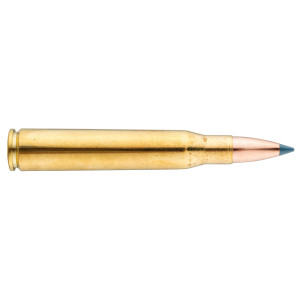 Sologne 8x68 S Nosler Partition 200 gr / 13 g 8x68 S Partition 200 gr / 13 g