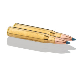 Sologne 8x68 S Nosler Partition 200 gr / 13 g 8x68 S Partition 200 gr / 13 g