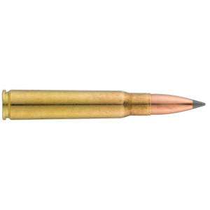 Sologne 8x57 JS Nosler Ballistic Tip 180 gr / 11,7 g 8x57 JS (JRS) Ballistic Tip 180 gr / 11.7 g