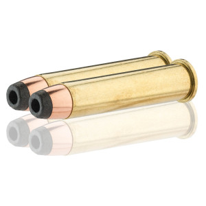 Sologne .45-70 Govt Sierra Pro Hunter HP 300 gr / 19,4 g .45-70 Govt Pro Hunter 300 gr / 19.4 g