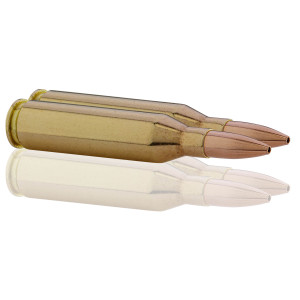 Sologne .243 Win Subsonique Sierra HPBT 70 gr / 4,5 g .243 Win Sub HPBT 70 gr / 4.5 g
