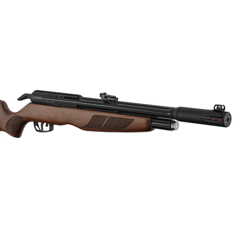 Carabine PCP Gamo RISER Punisher Cal. 5,5 mm 40 Joules Gamo RISER Punisher