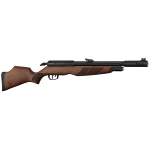 Carabine PCP Gamo RISER Punisher Cal. 5,5 mm 40 Joules Gamo RISER Punisher