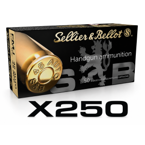 Munitions 45 Auto Sellier & Bellot FMJ 230gr par 250